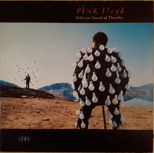 Pink floyd delicate sound - floyd,