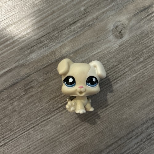 Autentico littlest pet shop - littlest,