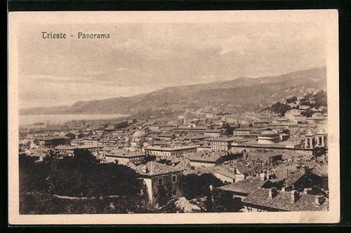 Trieste vista panoramica sul - trieste,,