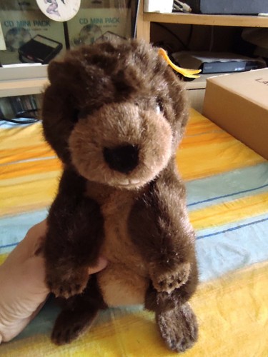 Peluche pupazzo castoro - peluche/pupazzo, di