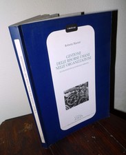 Maeran,GESTIONE DELLE RISORSE