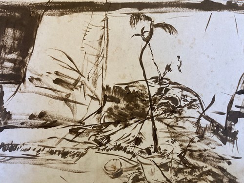 Molto bello disegno - molto,