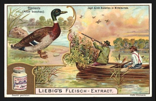 Immagine collezione liebig - da,