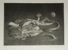 RICCARDO TOMMASO FERRONI 