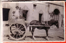 CARTOLINA FONDACHELLO  DI MASCALI  NON VIAG FOTOGRAFICA 14 X 9 CARRO SICILIANO R