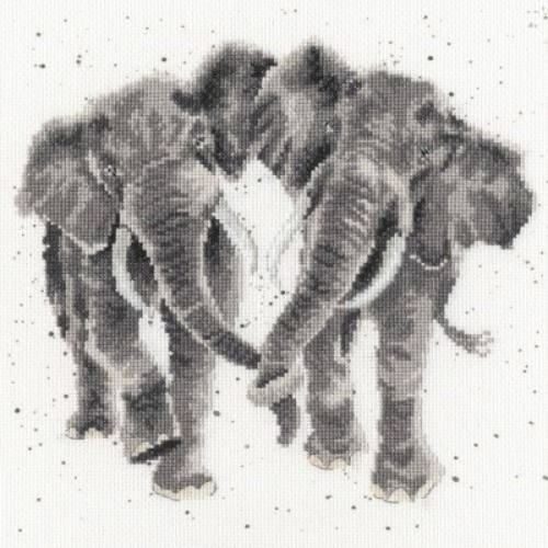 Age irrelephant kit punto - is,