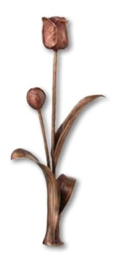 Tulipano bronzo 51x18 - bronzo, cm