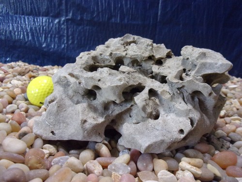 Texas holey rock - texas/tn,
