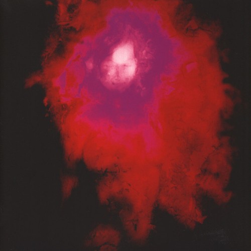 Porcupine tree up the - porcupine,