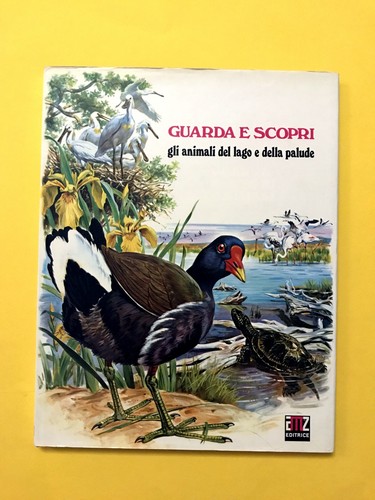 Guarda scopri gli - e,