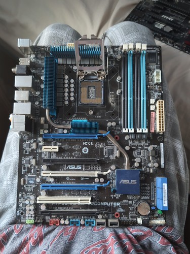 Asus p7p55 shield - asus, e