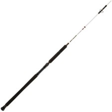 Penn battalion canna - battalion,