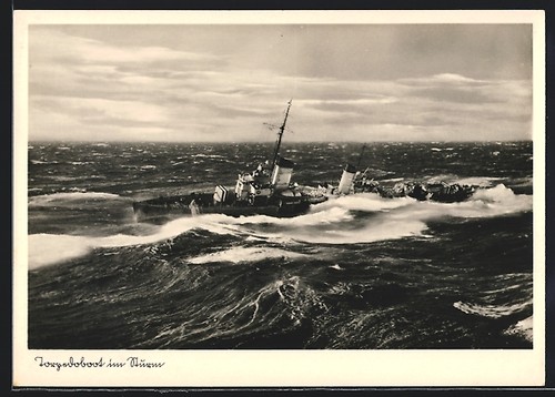 Torpediniera tempesta - in,