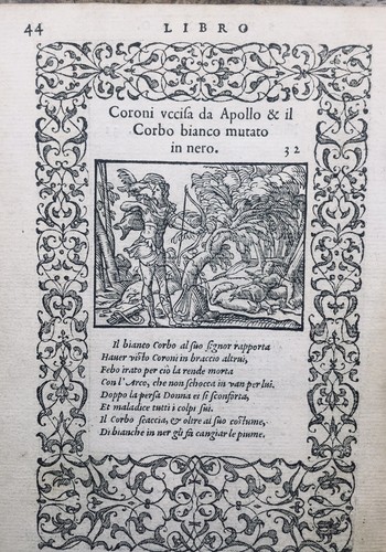 Hibou 1559 corbeau - 1559,