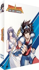Saint Seiya The Lost Canvas OVA Complete DVD Box 1-13 eps Import Japanese Region
