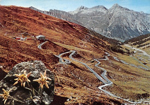 Cartolina passo dello spluga - cartolina,