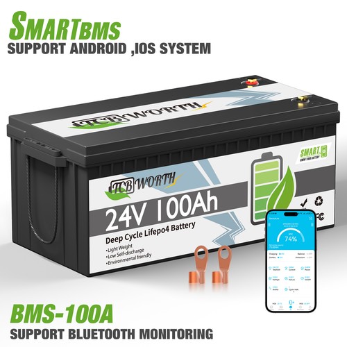 Batteria litio 24v 100ah - 24v,