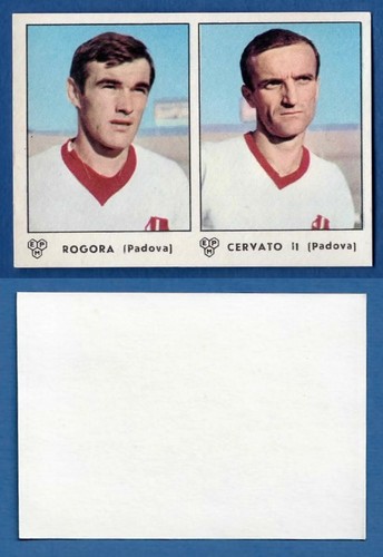 Figurina calciatori panini - figurina,