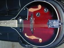 Berkeley Mandolino Elettrico