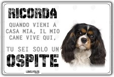 Cartello Cane Cavalier King IL