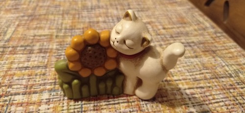 Thun gattino con - thun, girasole