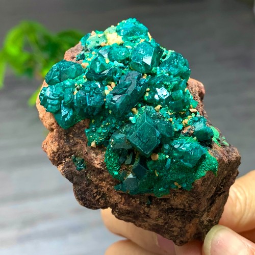164g dioptasi verde naturale - 164g,