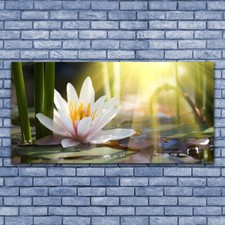 140x70 Quadro Immagine Arte da