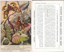 FIGURINA LIEBIG ANNI