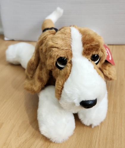 Aurora bassett hound - aurora,