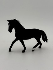 Cavallo quarto femmina