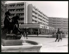 Fotografia Dresda, mercato di