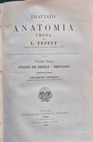 Trattato anatomia umana - di,