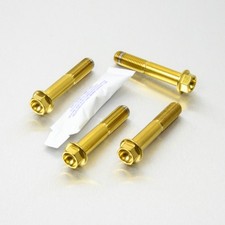 Bulloni montaggio pinza freno