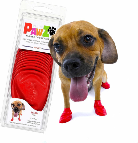 Scarpette colorate per cani - scarpette,