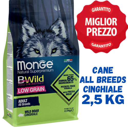 Monge bwild cane - cane, adult