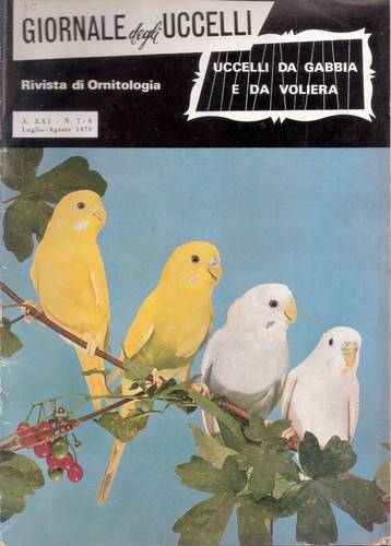 Rivista degli uccelli vari - uccelli,