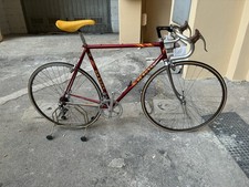 de rosa Professional Mint 