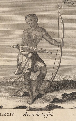 Dende bonanni strumenti - dende, a