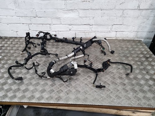Fascio cavi motore jaguar - fascio,