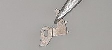Dente Scatta Data Giorno