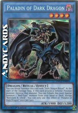 PALADIN OF DARK DRAGON