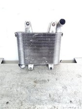 INTERCOOLER Kia Carnival 2