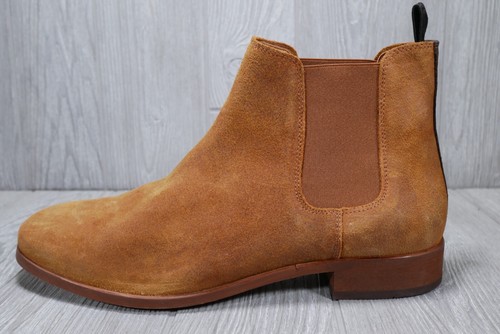 Scarpa the bear - scarpa,
