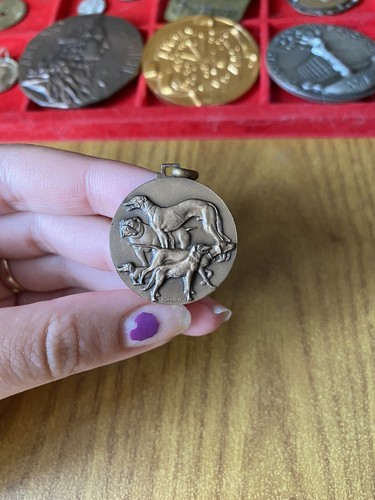 Medaglia morbiducci circolo - medaglia,