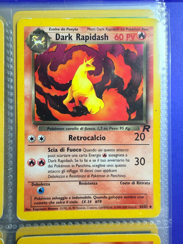 Dark rapidash team - dark,