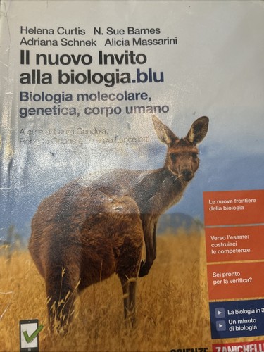 Nuovo invito alla - invito,