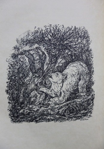 Uccisore orsi - "l'uccisore, orsi"