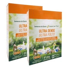 Semi Prato ULTRA FOLTO