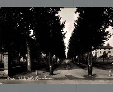 Parma Noceto viale delle