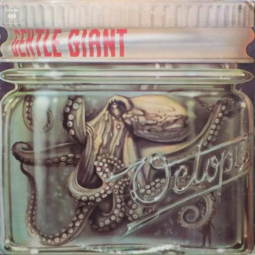 Gentle giant octopus near - gentle,